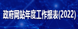 网站年度报告