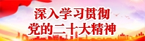 深入学习贯彻党的二十大精神